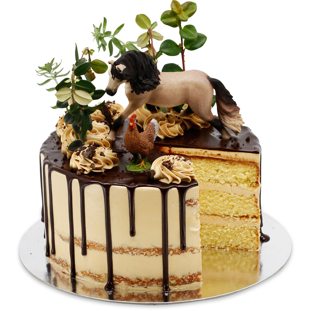 Wildlife Cake